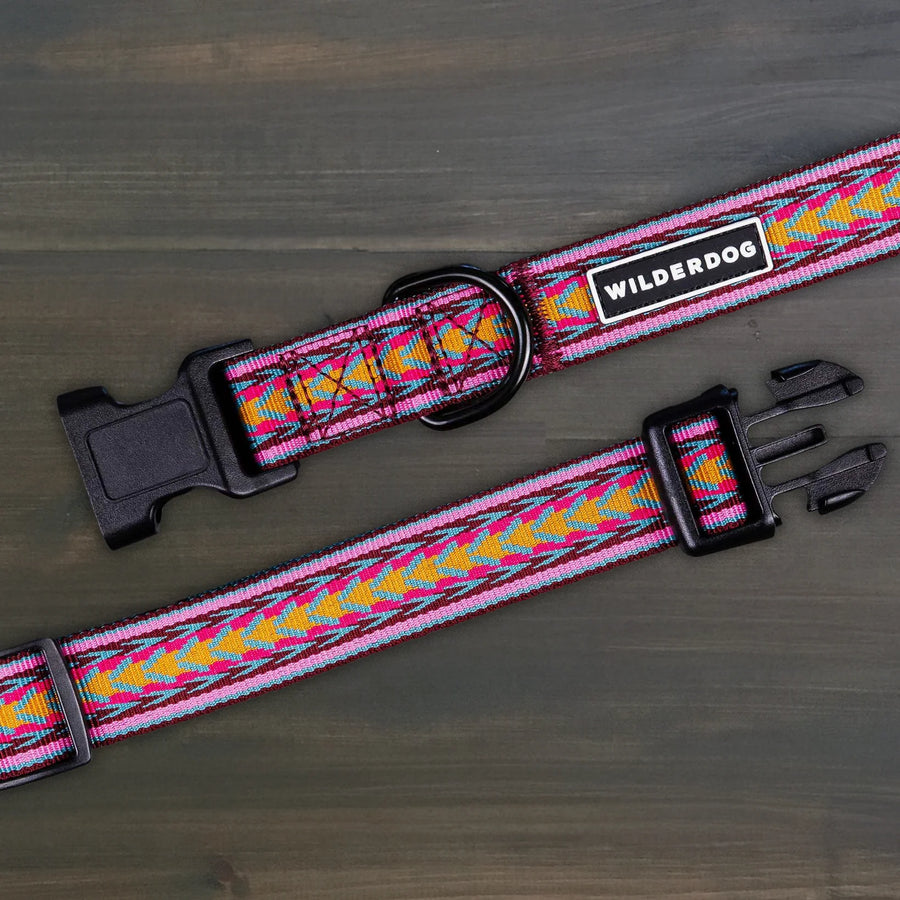 Wilderdog Daybreak ultralight dog collar laid flat on dark wood surface, showing pink webbing with bold magenta, gold, and teal chevron arrow woven pattern, Wilderdog logo patch, black D-ring, and quick-release buckle.