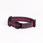 Wilderdog Daybreak ultralight dog collar looped upright on white background, showing pink webbing with magenta, gold, and teal chevron arrow woven pattern, black D-ring, quick-release buckle, and Wilderdog logo patch.