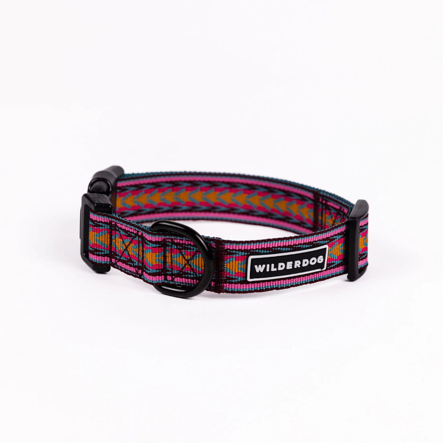 Wilderdog Daybreak ultralight dog collar looped upright on white background, showing pink webbing with magenta, gold, and teal chevron arrow woven pattern, black D-ring, quick-release buckle, and Wilderdog logo patch.