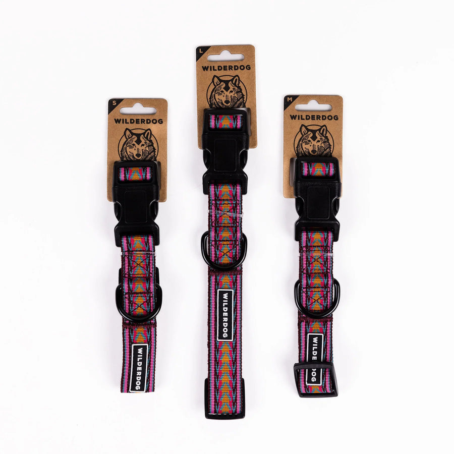 Three Wilderdog Daybreak ultralight dog collars in Small, Large, and Medium sizes displayed on branded kraft paper hang tags against a white background, showing pink webbing with magenta, gold, and teal chevron arrow pattern.