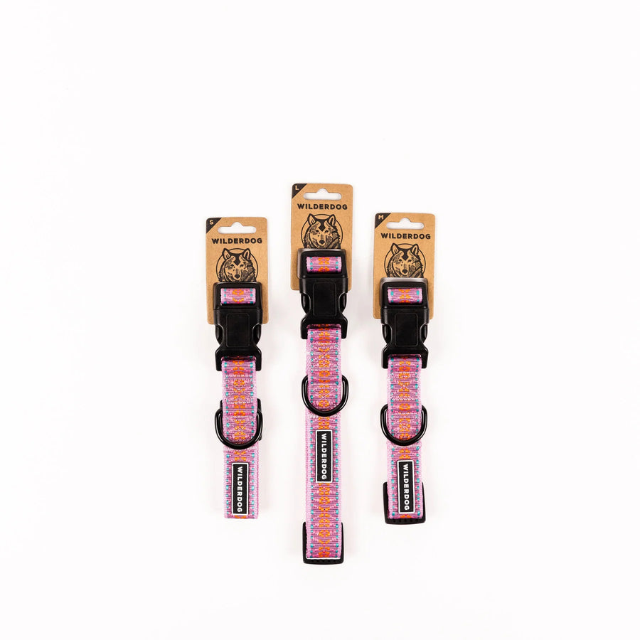 Three Wilderdog Lilac ultralight dog collars in Small, Large, and Medium sizes displayed on branded kraft paper hang tags against a white background, showing pink webbing with orange and teal geometric pattern.