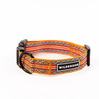 Wilderdog Sienna ultralight dog collar looped upright on white background, showing amber orange webbing with red, teal, and white chevron zigzag woven pattern, black D-ring, quick-release buckle, and Wilderdog logo patch.
