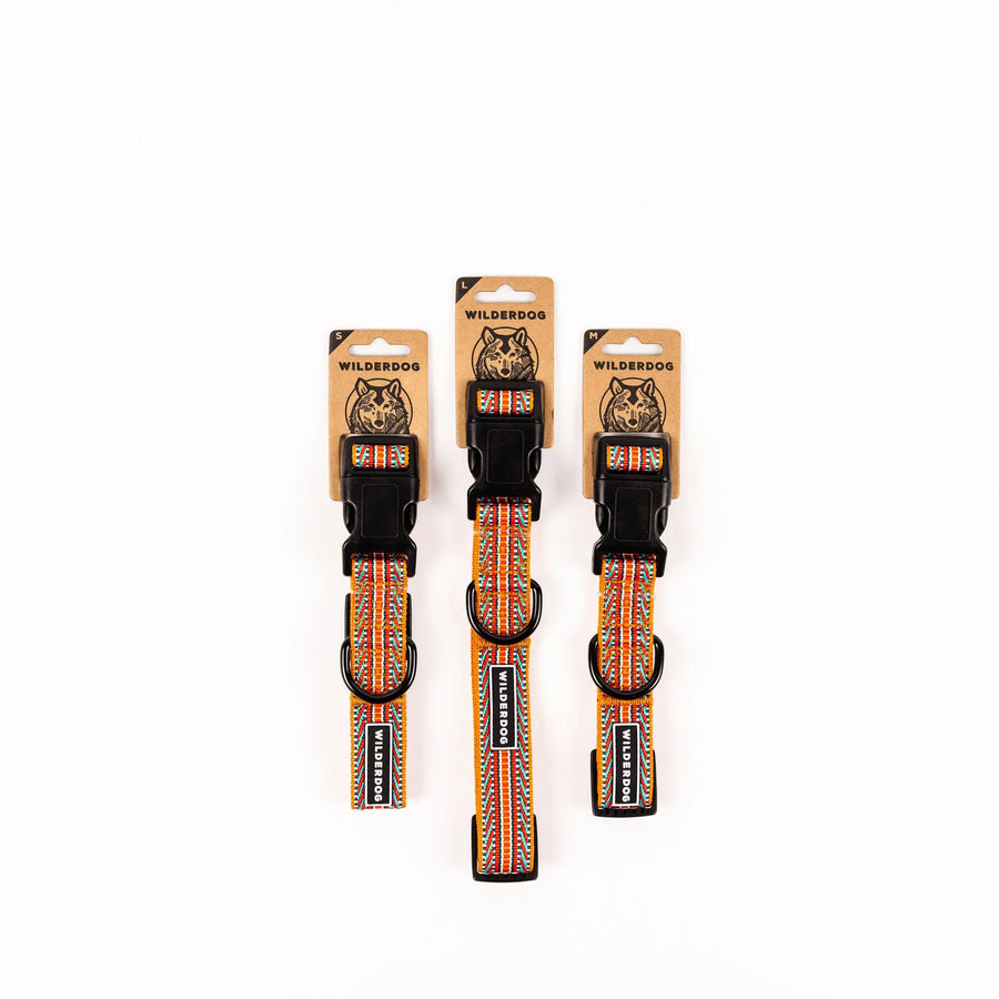 Three Wilderdog Sienna ultralight dog collars in Small, Large, and Medium sizes displayed on branded kraft paper hang tags against a white background, showing amber orange webbing with red, teal, and white zigzag pattern.