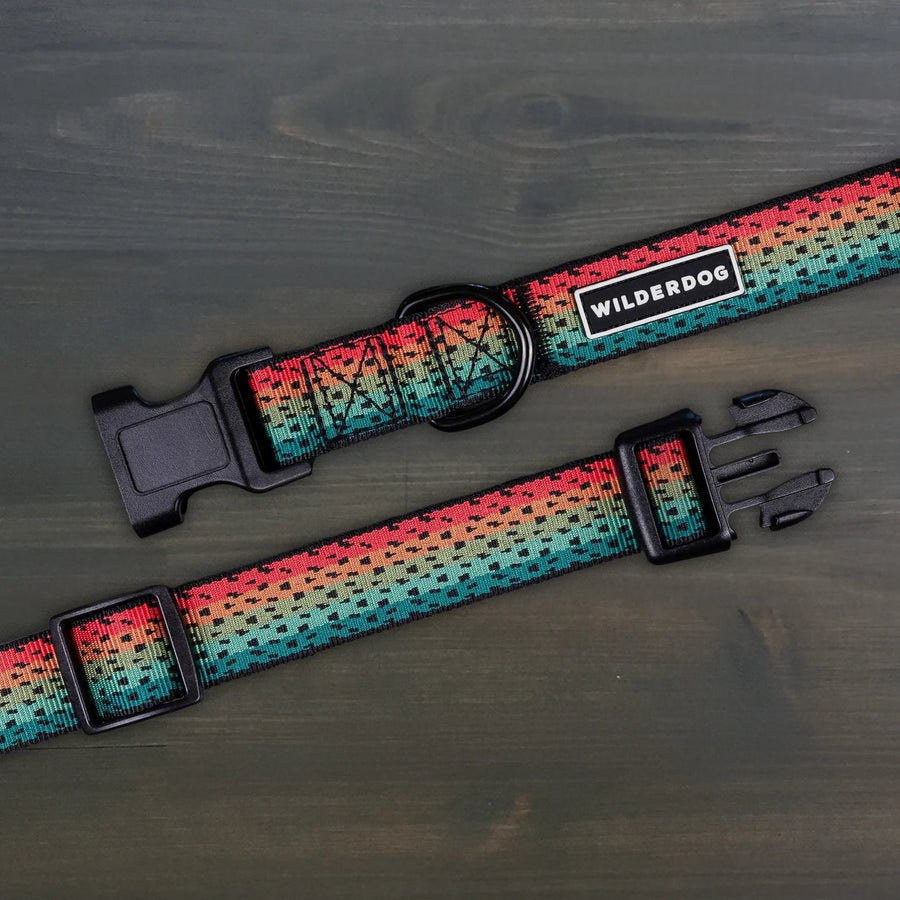 Wilderdog Trout ultralight dog collar laid flat on dark wood surface, showing black webbing with gradient rainbow trout scale pattern in red, orange, teal, and green with dark spot detailing, Wilderdog logo patch, black D-ring, and quick-release buckle.