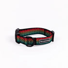 Wilderdog Trout ultralight dog collar looped upright on white background, showing black webbing with gradient rainbow trout scale pattern in red, orange, teal, and green, black D-ring, quick-release buckle, and Wilderdog logo patch.