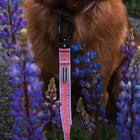 Close-up of a Wilderdog Lilac ultralight leash with pink and red woven pattern clipped to a fluffy brown dog's collar, surrounded by vibrant purple lupine wildflowers.