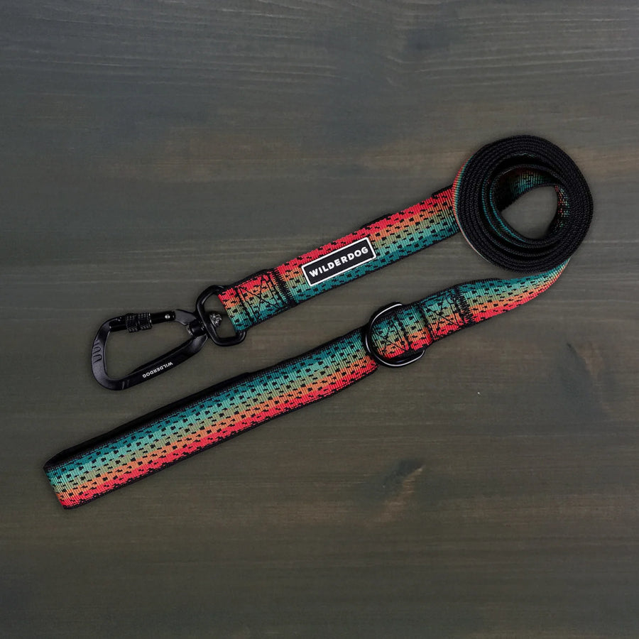 Wilderdog Ultralight Dog Leash in Trout pattern laid flat on dark wood surface, red, teal, and orange gradient woven webbing with black Wilderdog carabiner clip, D-ring, and branded label.