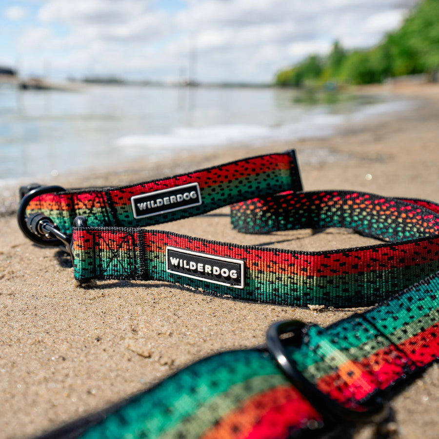 Wilderdog Ultralight Dog Leash and collar in Trout pattern laid on sandy beach shoreline, showing the red, teal, and orange gradient fish-scale woven pattern with black Wilderdog branded labels and carabiner clip.