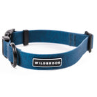 Wilderdog Pacific Blue waterproof dog collar looped upright on white background, showing teal blue coated webbing with subtle topo map line pattern, black D-ring, black quick-release buckle and slider, and Wilderdog logo patch.