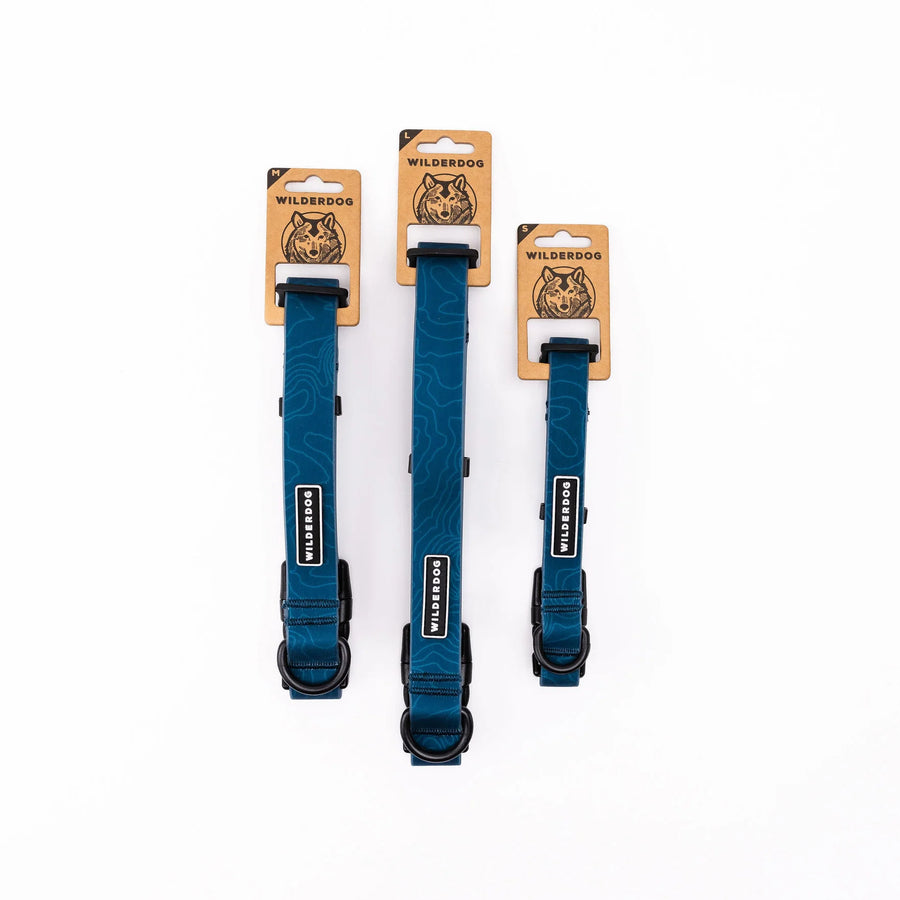 Three Wilderdog Pacific Blue waterproof dog collars in Medium, Large, and Small sizes standing upright on branded kraft paper hang tags with wolf illustration against a white background, showing teal blue coated webbing with topo map pattern and black hardware.