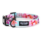Wolfgang DigiFloral Adjustable Dog Collar, Pink and Blue in a white background