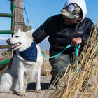 Dog using the Wolfgang Greatescape Dog Leash