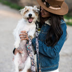 Woman carrying Dog using Wolfgang LosMuertos Dog Collar