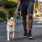 Dog on a walk using Wolfgang SunsetPalms Dog Leash