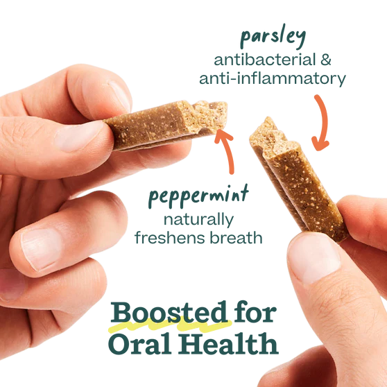 Woof Bite n' Brush Dental Chew Toy Refills