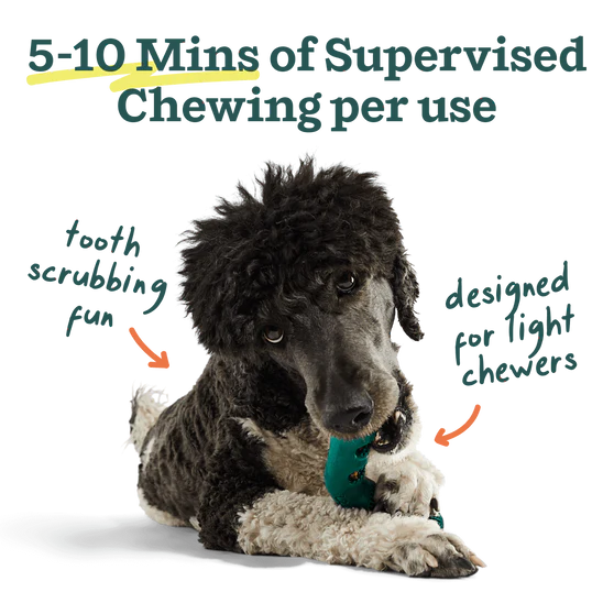 Woof Bite n' Brush Dental Chew Toy Refills