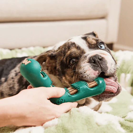 Woof Bite n' Brush Dental Chew Toy Refills