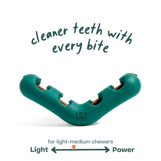 Woof Bite n' Brush Dental Chew Toy