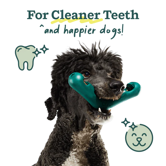 Woof Bite n' Brush Dental Chew Toy