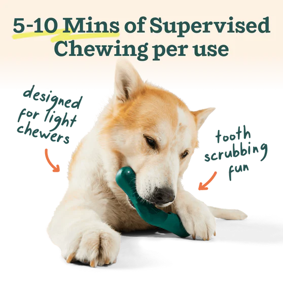 Woof Bite n' Brush Dental Chew Toy