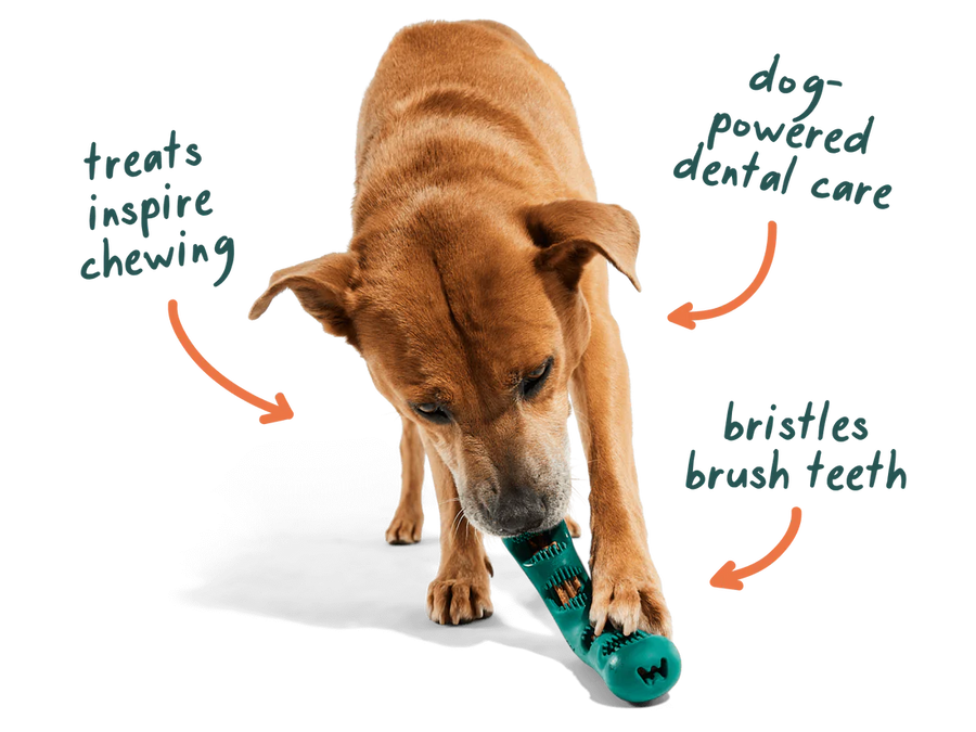Woof Bite n' Brush Dental Chew Toy