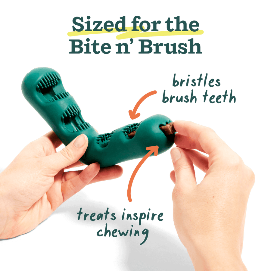 Sized for the Bite n' Brush. 