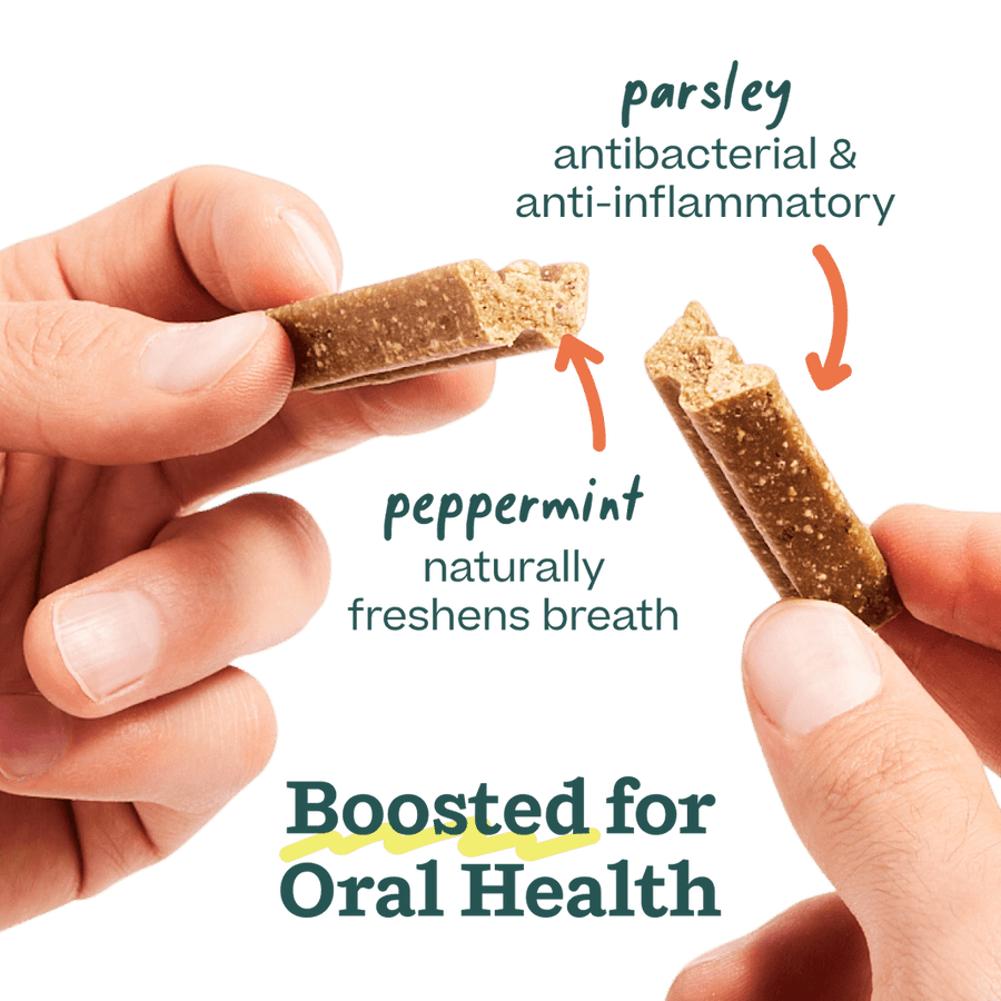 Boosted for Oral Health. 