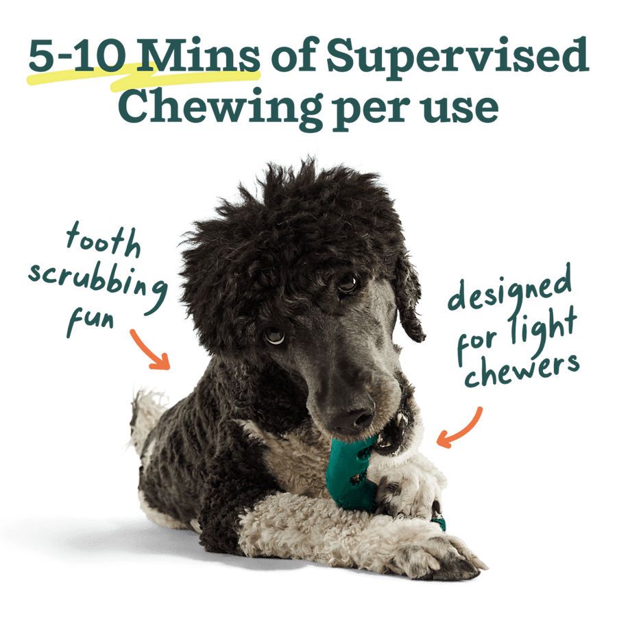 5-10 mins of supervised chewing per use. 