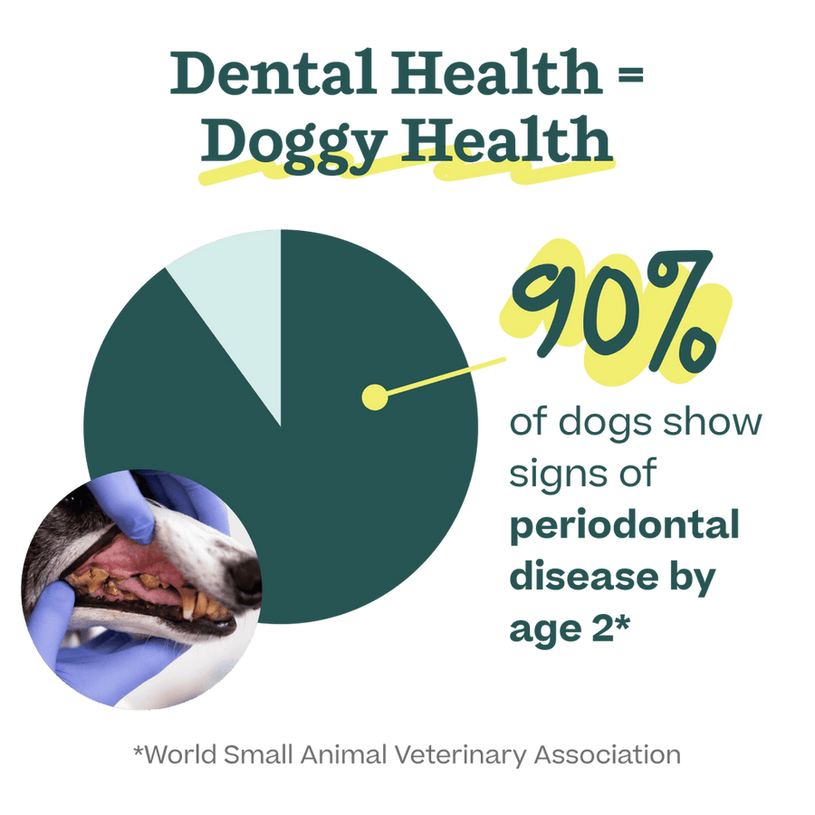 90% of dogs show signs of periodontal disease by age 2*