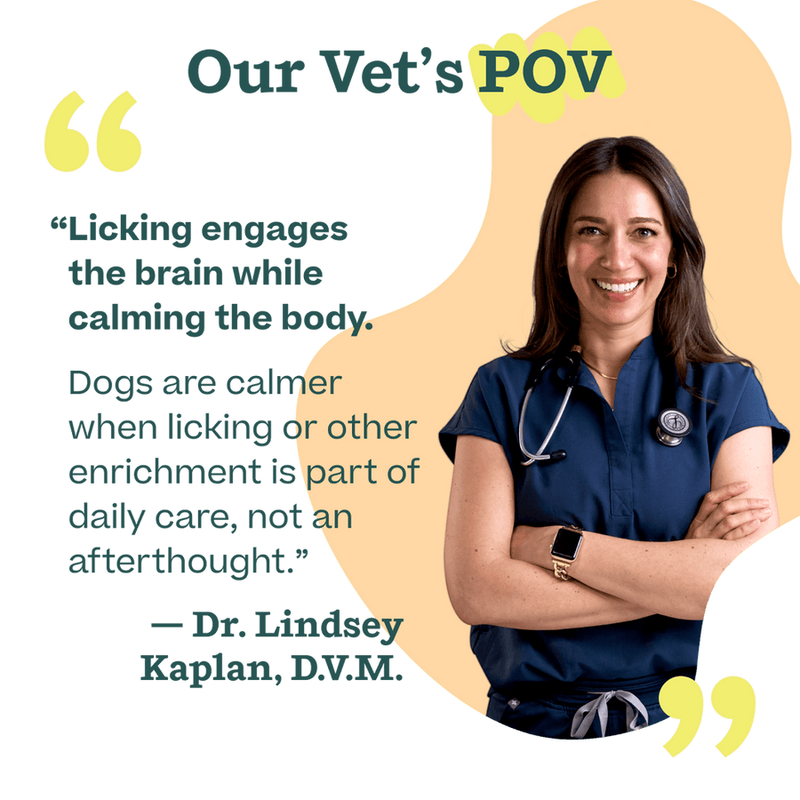 Our Vet's POV. 