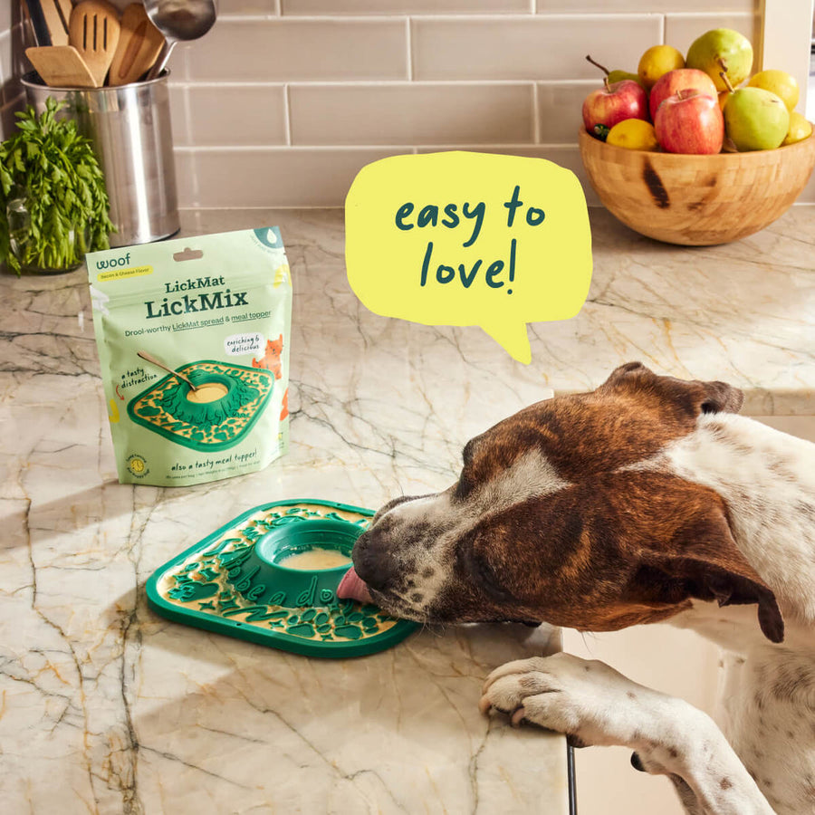 Easy to Love!