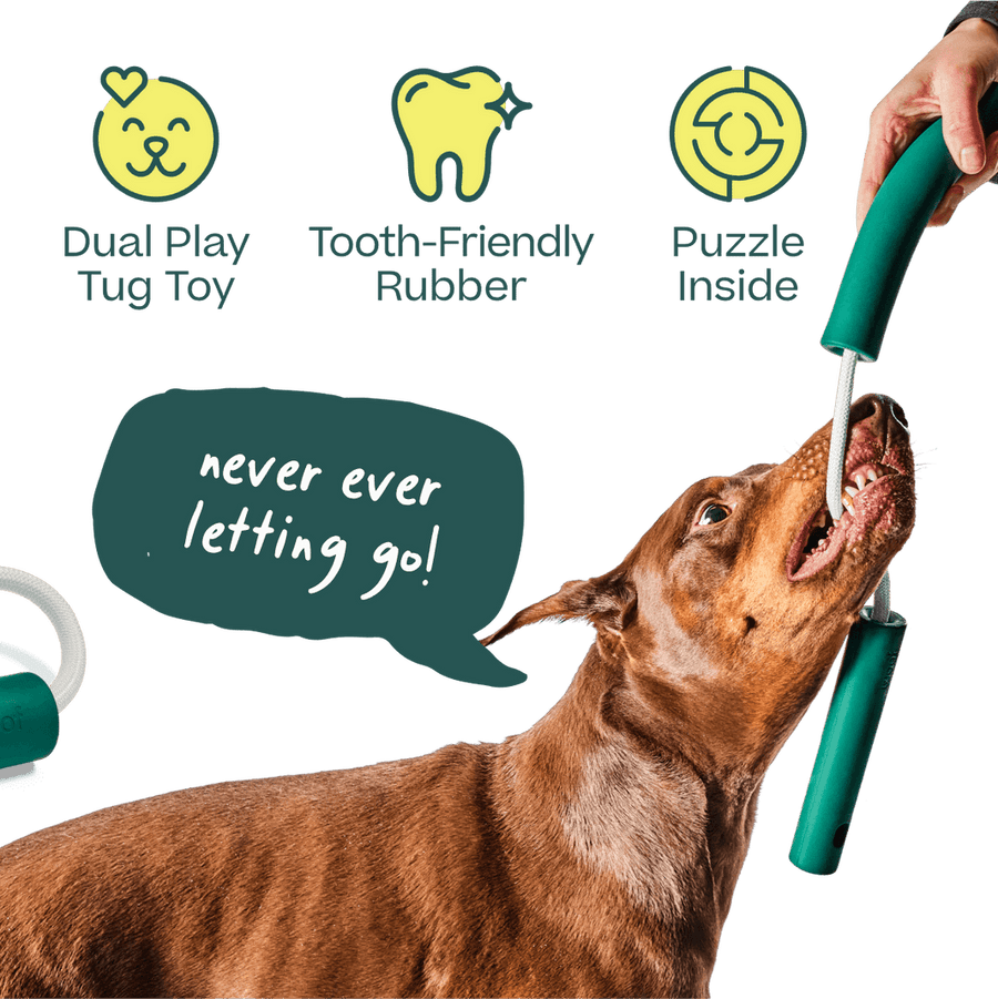 *Dual Play Tug Toy
*Tooth-Friendly Rubber
*Puzzle Inside