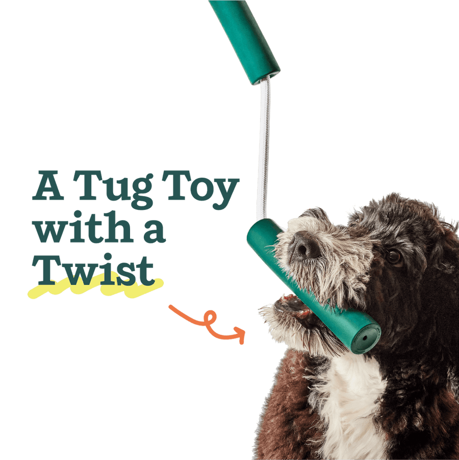 A Tug Toy with a twist. 