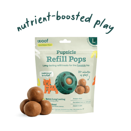 Woof Pupsicle Pops Chicken & Peanut Butter Recipe Dog Treat