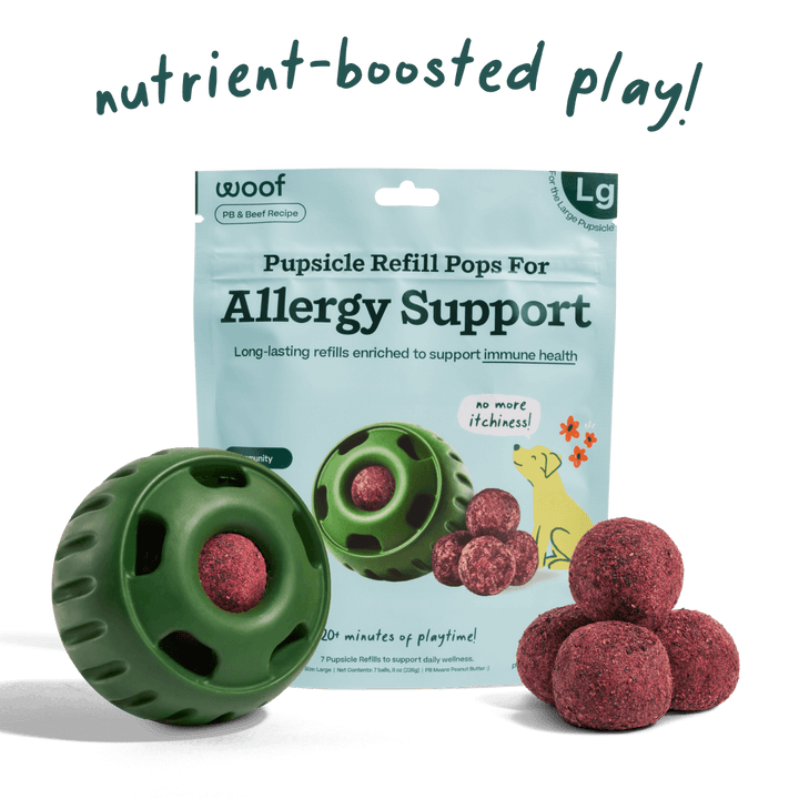 Woof Pupsicle Allergy and Immunity Pops Dog Treat promoting boosted play