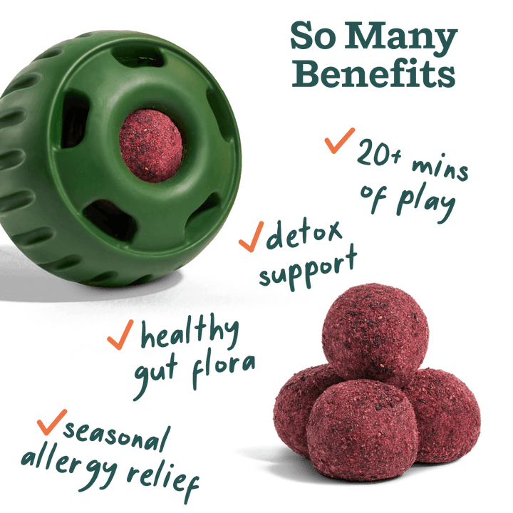 Woof Pupsicle Allergy and Immunity Pops Dog Treat highlighting health benefits