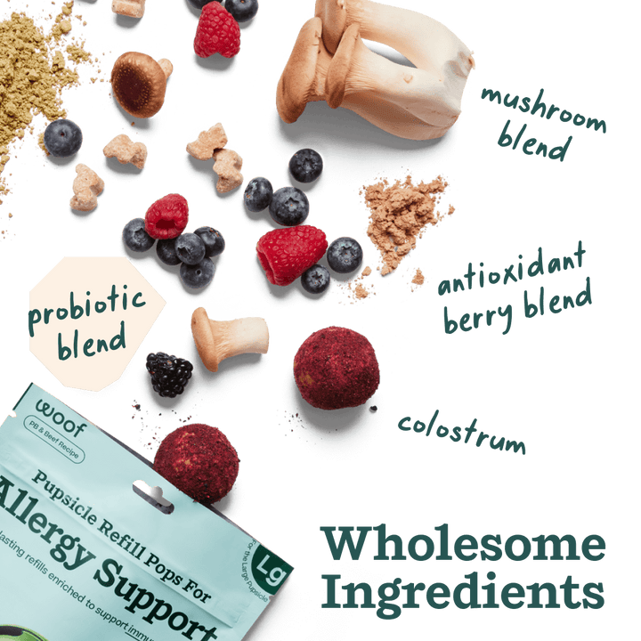 Woof Pupsicle Allergy and Immunity Pops Dog Treat Recipe made with wholesome ingredients