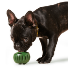 Black dog using Woof Pupsicle Dog Treat Toy Green