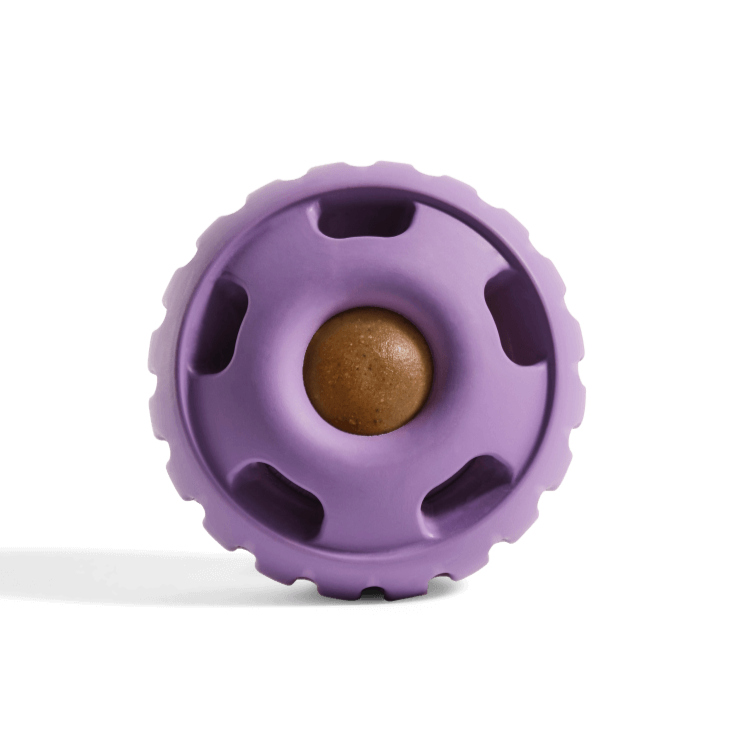Woof Pupscicle Dog Toy in Lavender