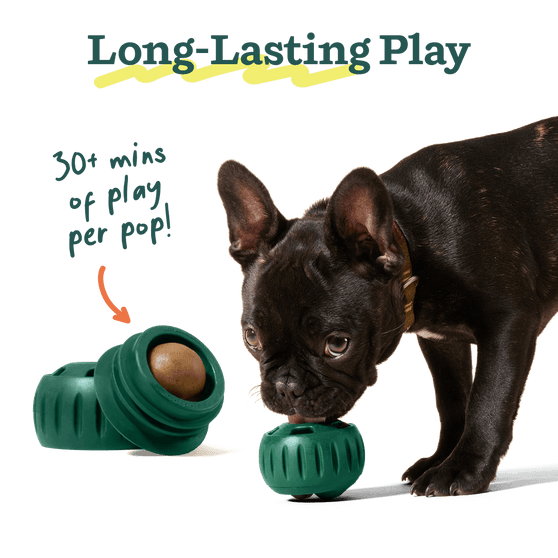 Estimated Play time for Woof Pupsicle Pops Dog Treat