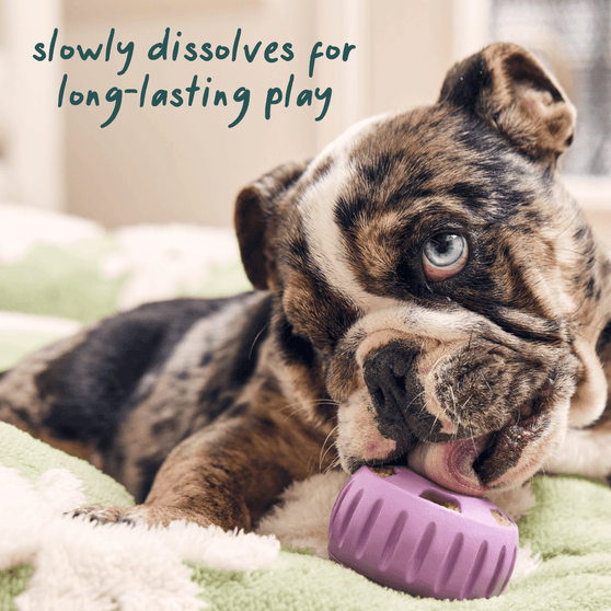 Dog licking Woof Pupsicle Treat long lasting play