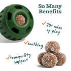 Woof Pupsicle Pops Dog Treat So many benefits