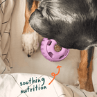 Woof Pupsicle Pops Dog Treat Soothing Nutrition
