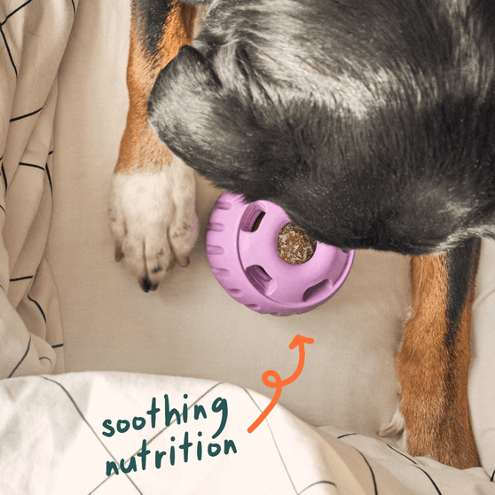 Woof Pupsicle Pops Dog Treat Soothing Nutrition