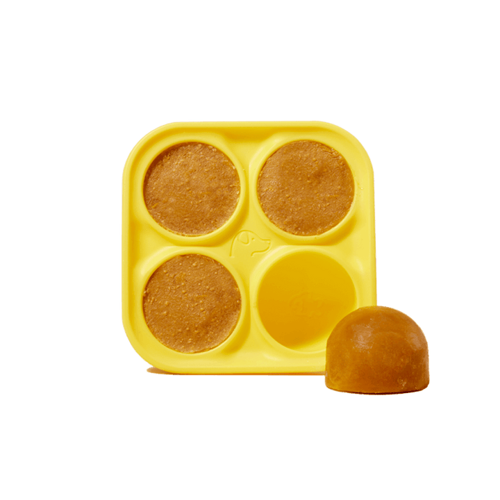 Woof Pupsicle Silicone Treat Tray with pet food mixture