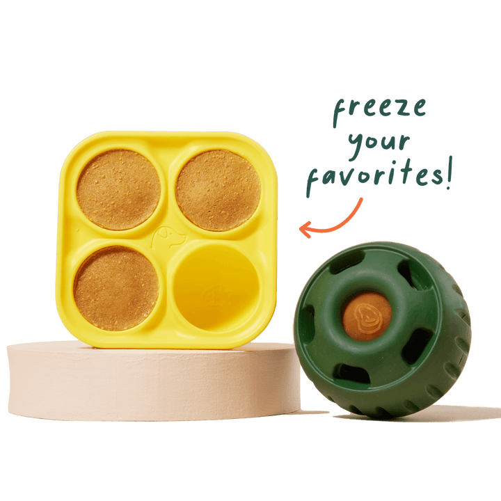 Freezed Food on Woof Pupsicle Silicone Treat Tray