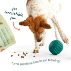 *For irresistible fun
*Turns playtime into brain training!