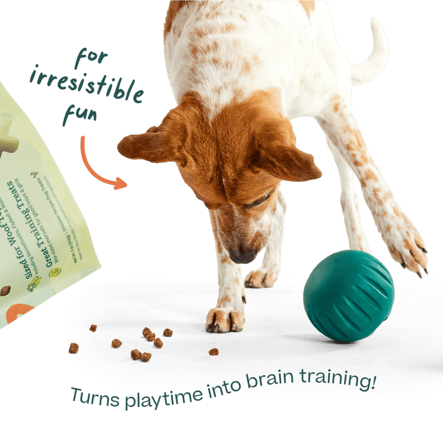 *For irresistible fun
*Turns playtime into brain training!