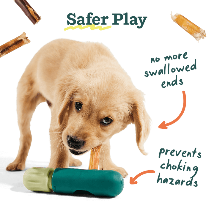 Safer Play for Woof The BullySafe Dog Treat Holder