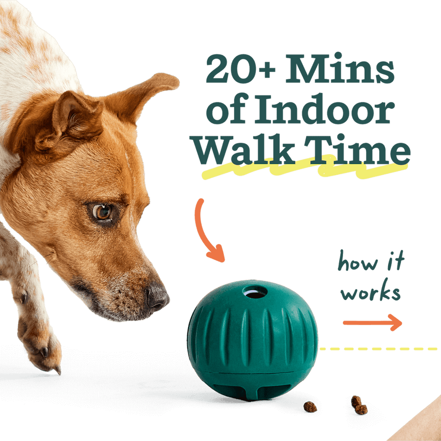 20 + minutes of Indoor Walk Time. 
